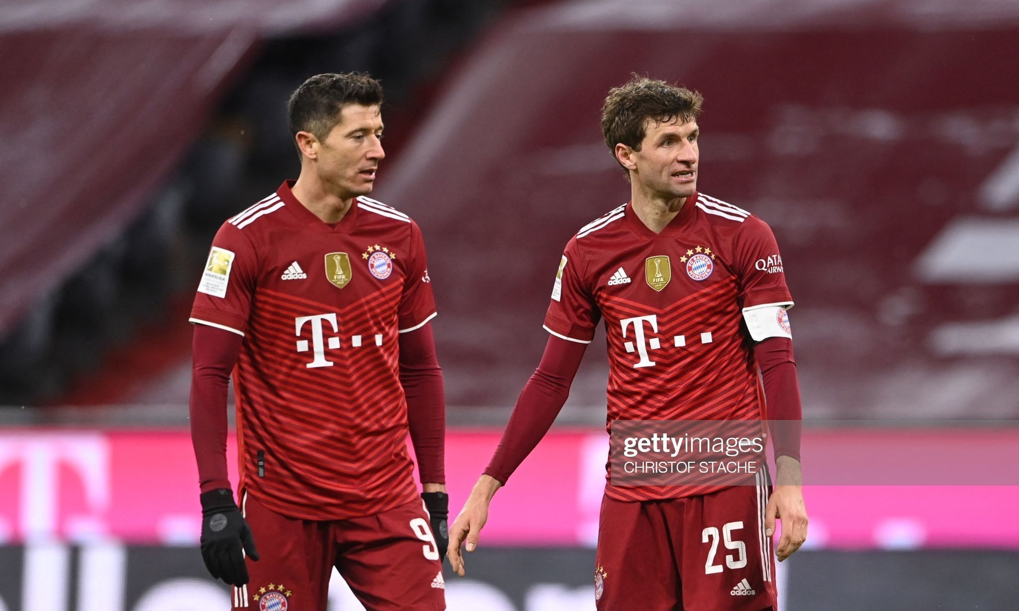 中关村企业信用促进会星级证书